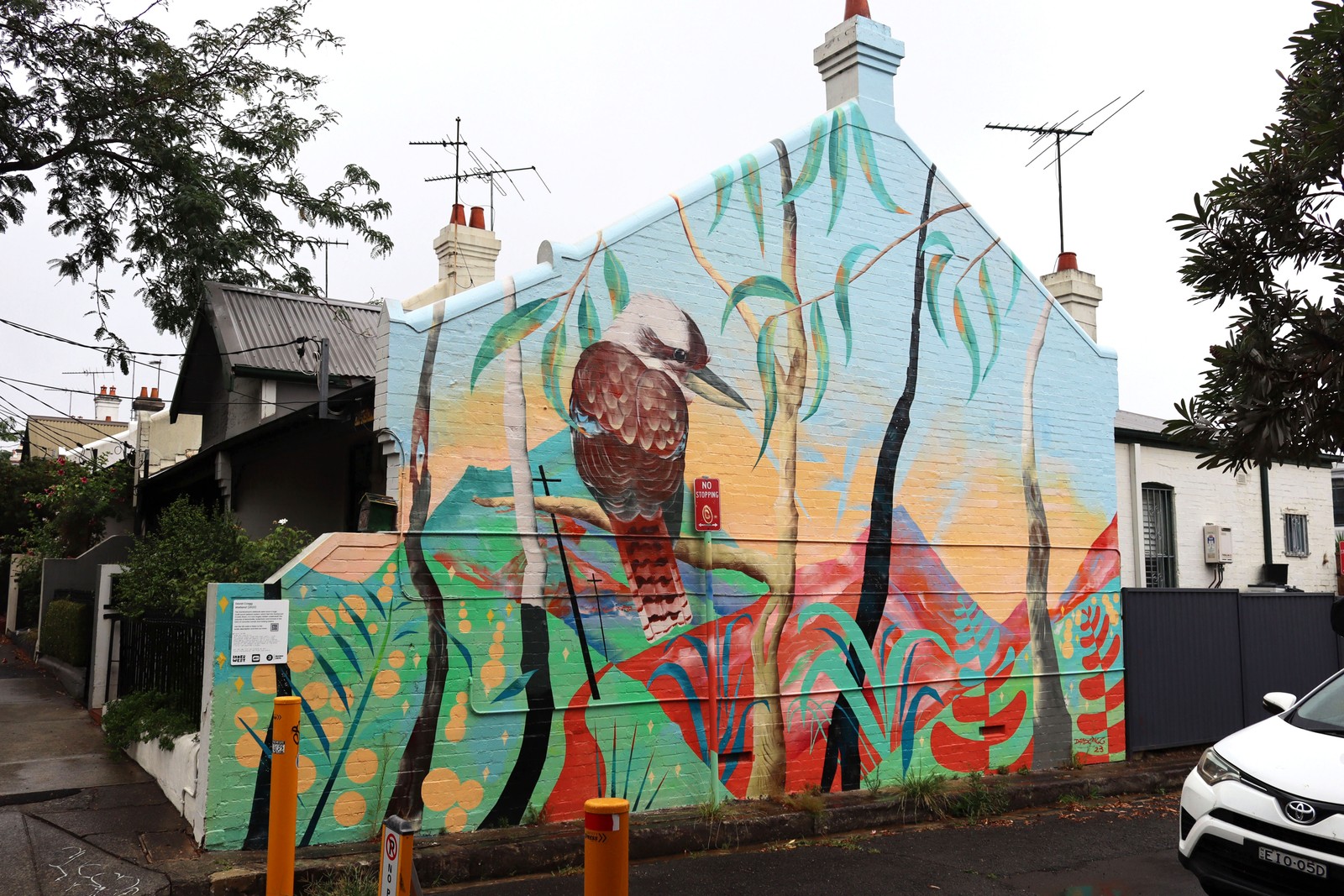 Tributary/Wetland by David Cragg | Street Art NSW