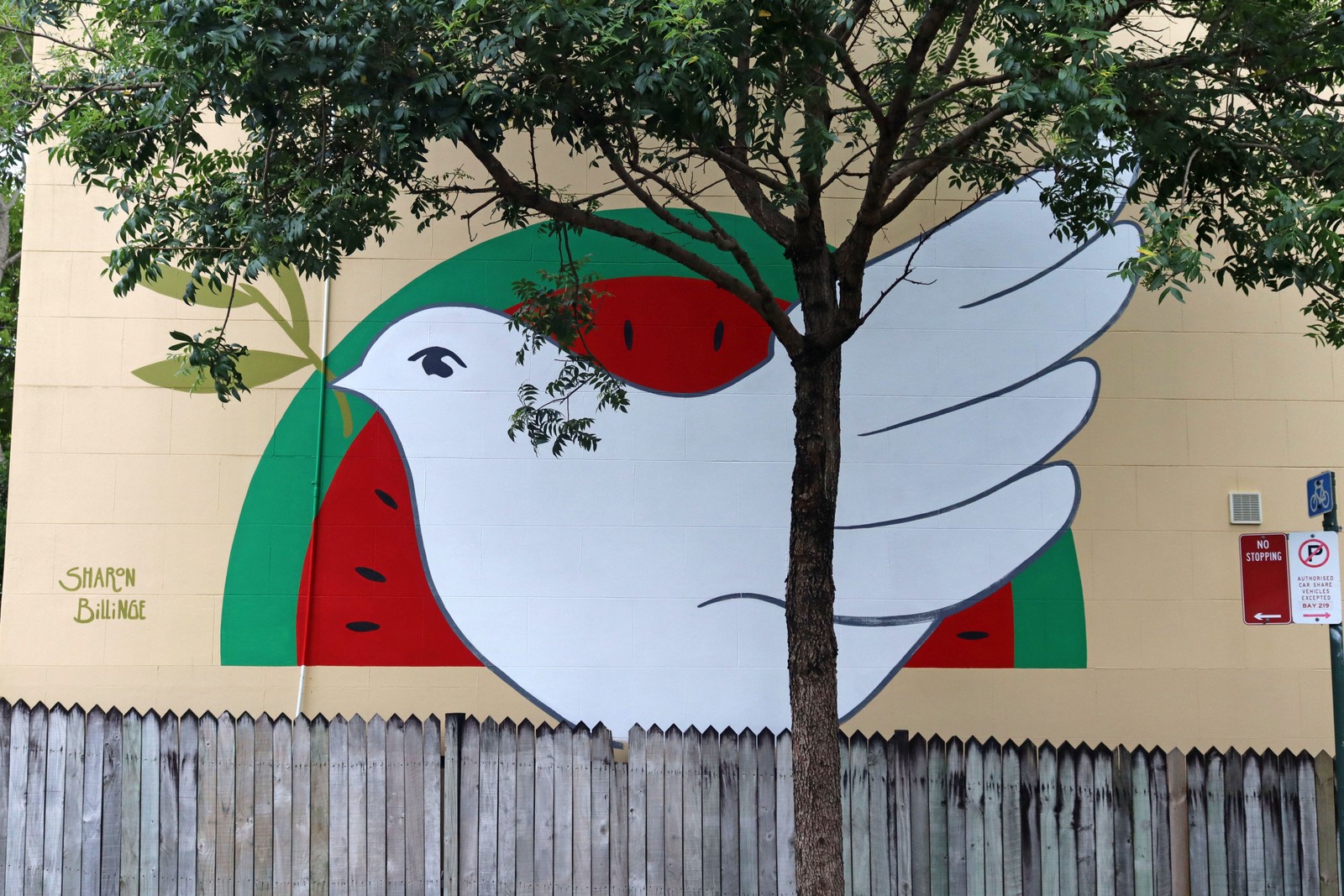 Palestine Peace Dove by Sharon Billinge | Street Art NSW