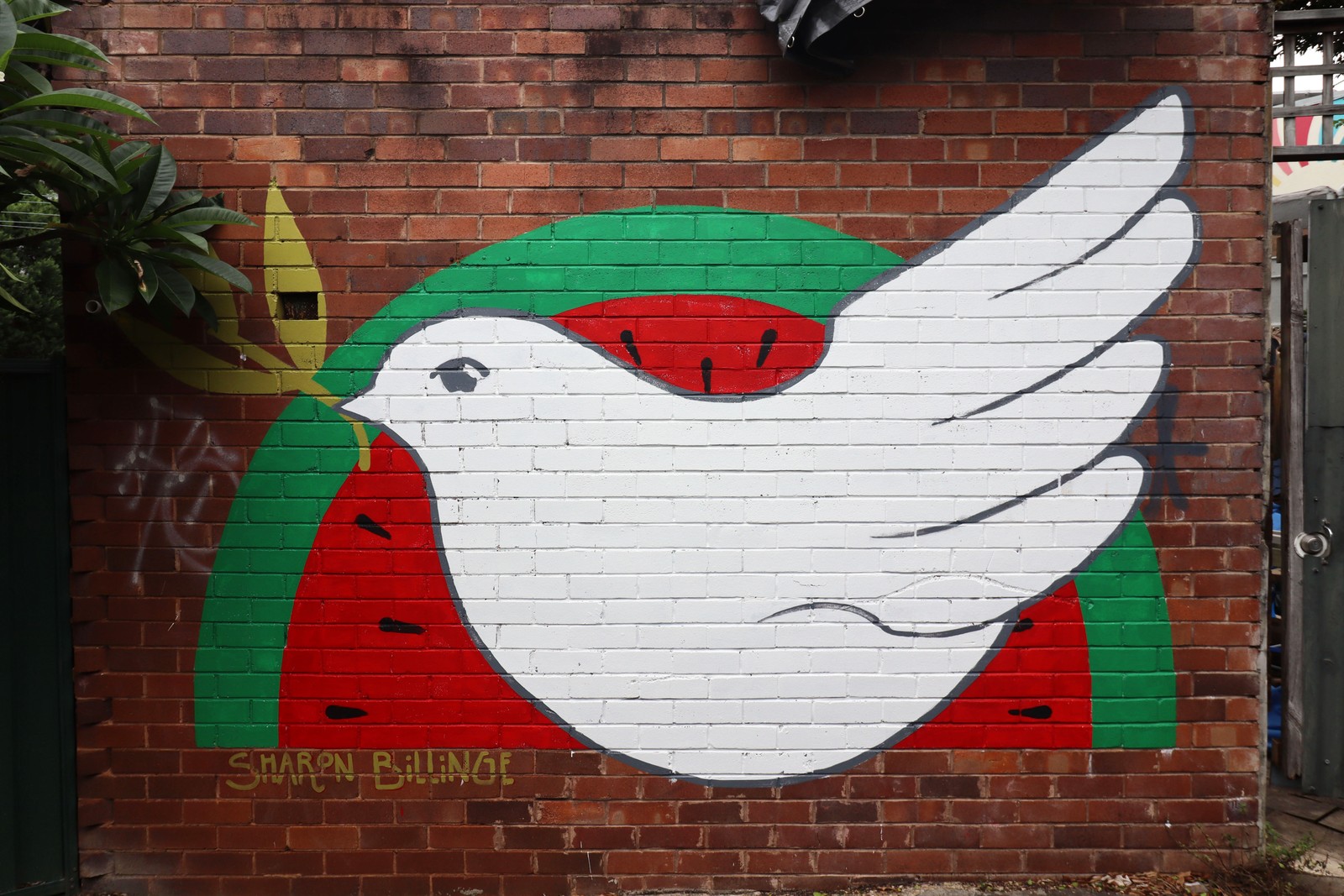 Peace Dove by Sharon Billinge | Street Art NSW