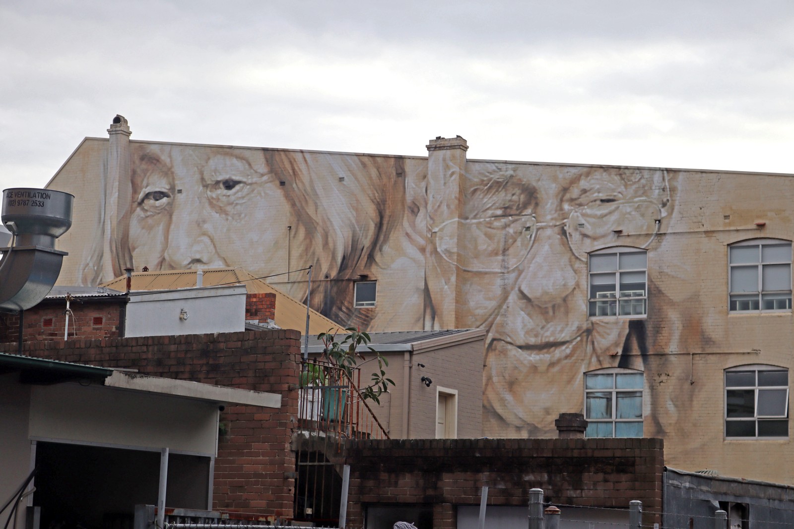 I See You Ashfield by Guido van Helten | Street Art NSW