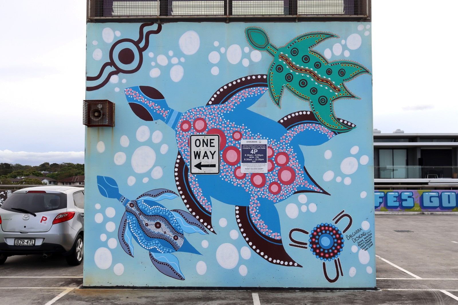 Turtle by Joanne Cassady | Street Art NSW