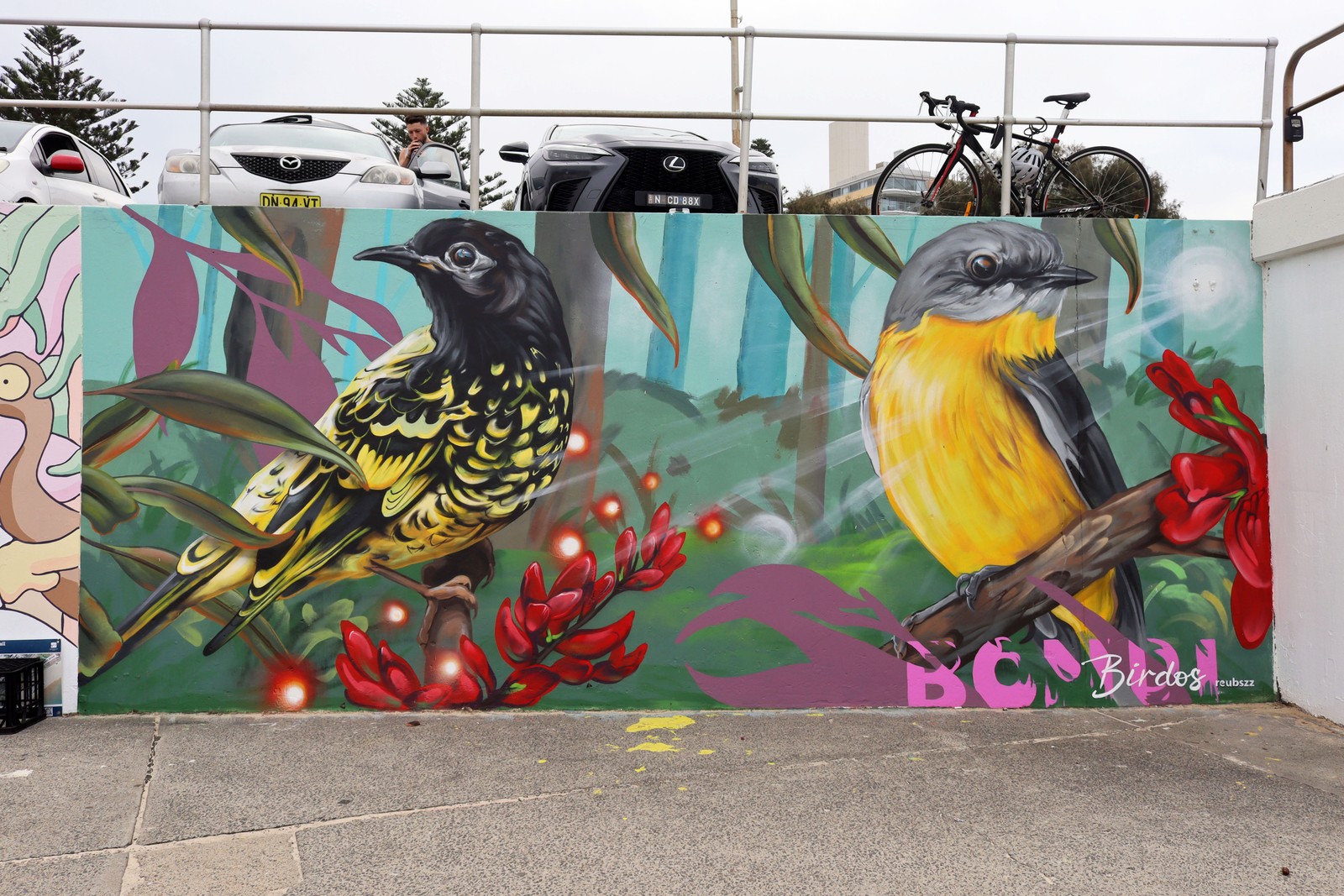 Bondi Birdos by Reubszz | Street Art NSW