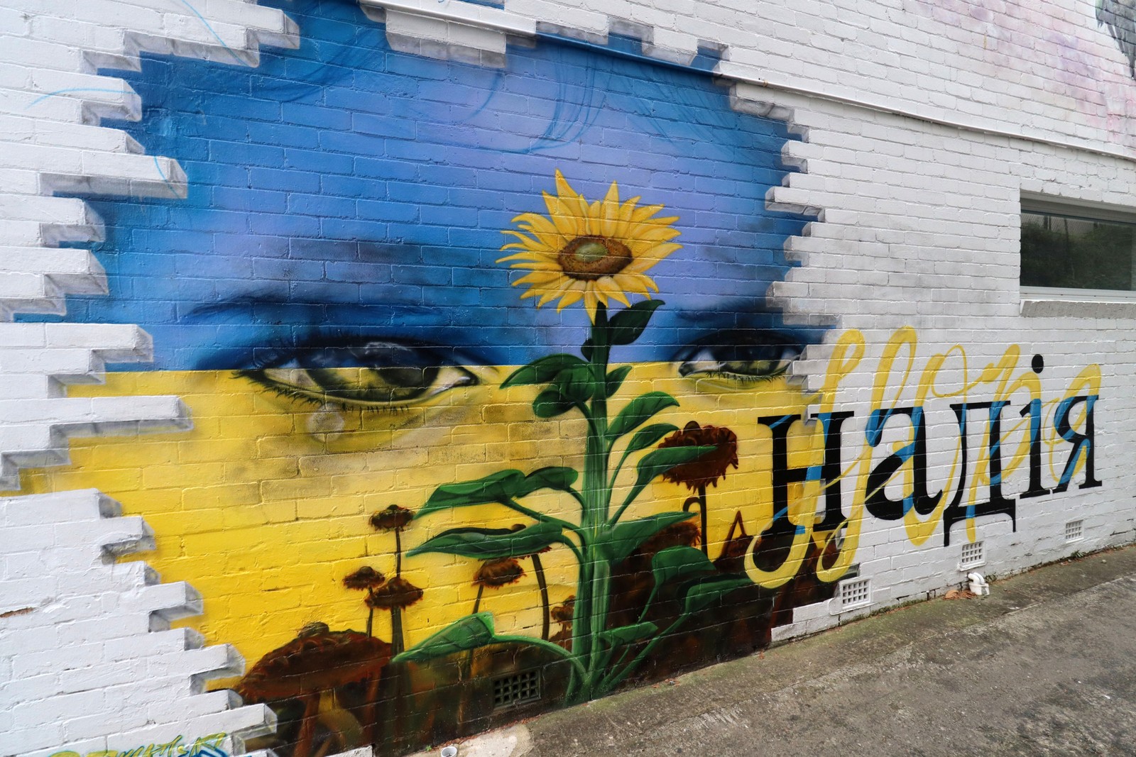 Hope is There by Smackas | Street Art NSW