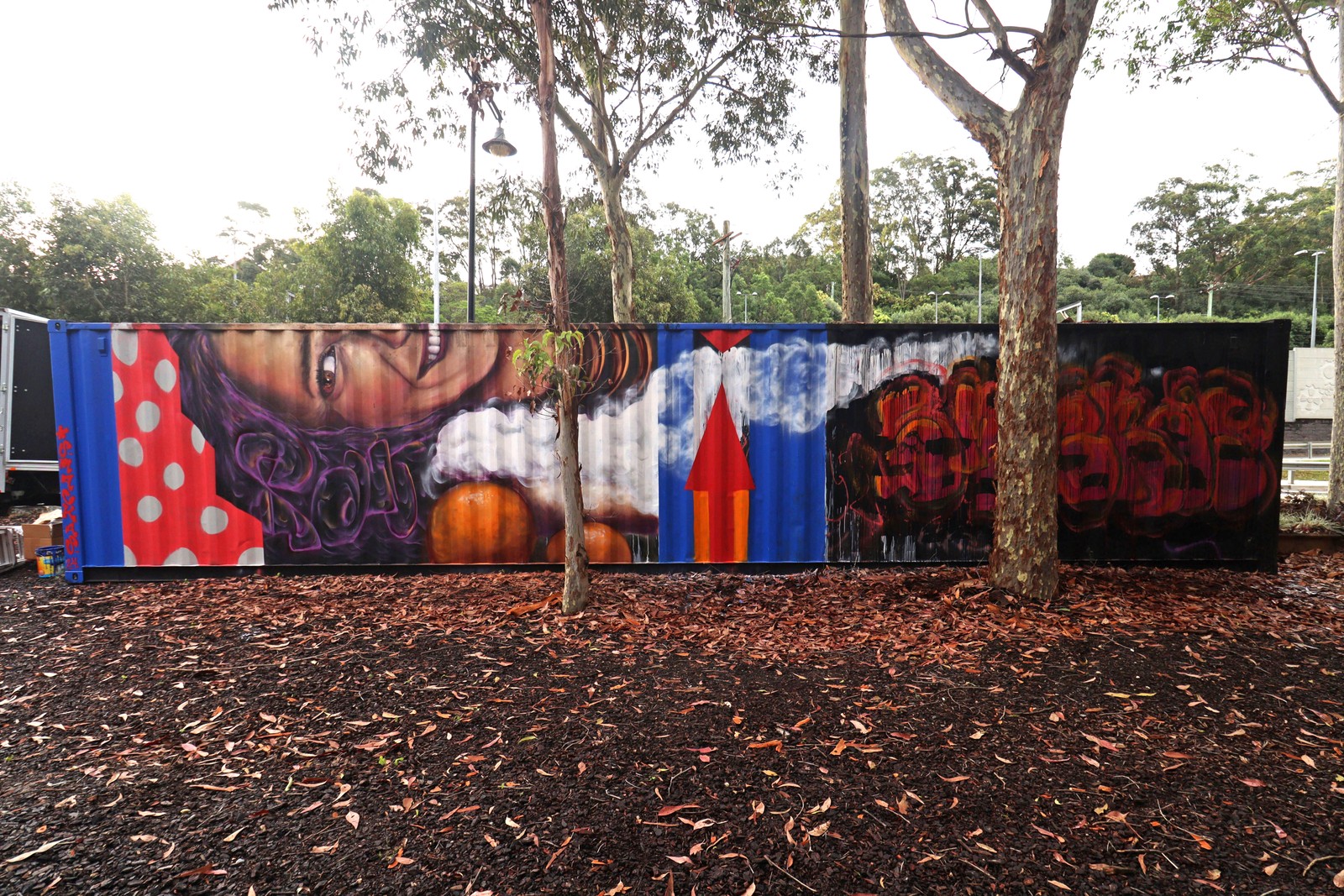Untitled by Smackas | Street Art NSW