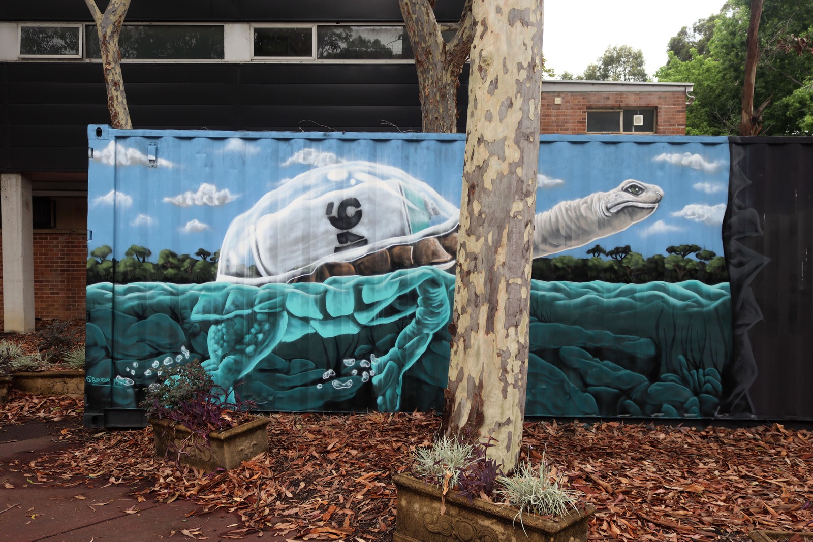 Untitled by Sekt Compton | Street Art NSW